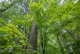  Pine Tree Road - Photo 8
