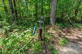 N1197 Spirit Island Trail - Photo 9