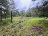  Bielak Road - Photo 3