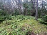  Bielak Road - Photo 4