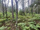  Bielak Road - Photo 5