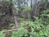  Bielak Road - Photo 7