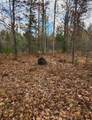 N18104 Perch Lake Road - Photo 1
