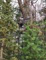 N18104 Perch Lake Road - Photo 13