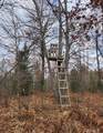 N18104 Perch Lake Road - Photo 14