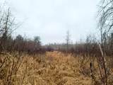 N18104 Perch Lake Road - Photo 22
