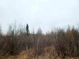 N18104 Perch Lake Road - Photo 23