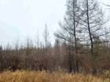N18104 Perch Lake Road - Photo 25