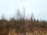 N18104 Perch Lake Road - Photo 26