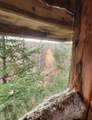 N18104 Perch Lake Road - Photo 8