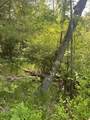  Lake John Road - Photo 2