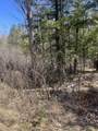  Lake John Road - Photo 5