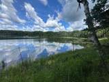  Blue Heron Lane - Photo 1