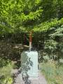  Blue Heron Lane - Photo 11