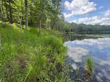  Blue Heron Lane - Photo 12