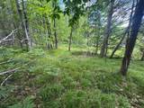  Blue Heron Lane - Photo 13