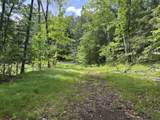  Blue Heron Lane - Photo 14