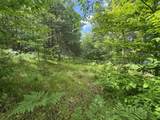  Blue Heron Lane - Photo 15