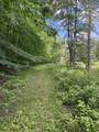  Blue Heron Lane - Photo 17