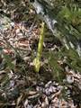  Blue Heron Lane - Photo 21