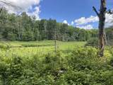  Blue Heron Lane - Photo 23