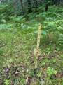  Blue Heron Lane - Photo 26