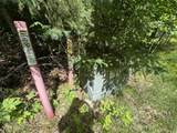 Blue Heron Lane - Photo 27