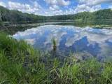  Blue Heron Lane - Photo 28
