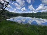  Blue Heron Lane - Photo 29