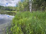  Blue Heron Lane - Photo 4