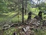  Blue Heron Lane - Photo 8