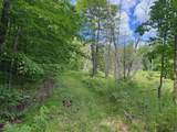  Blue Heron Lane - Photo 9