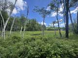  Blue Heron Lane - Photo 10