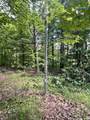 N15475 Hardwoods Road - Photo 13
