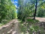N15475 Hardwoods Road - Photo 9