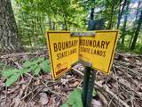 N15475 Hardwoods Road - Photo 10