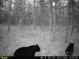  Bogus Road - Photo 14