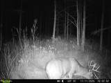  Bogus Road - Photo 4