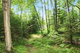  Bogus Road - Photo 38