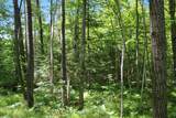  Bogus Road - Photo 45