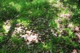  Bogus Road - Photo 48