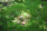  Bogus Road - Photo 50