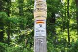  Bogus Road - Photo 54
