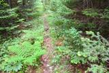  Bogus Road - Photo 67