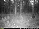  Bogus Road - Photo 8