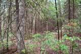  Bogus Road - Photo 76