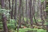  Bogus Road - Photo 78