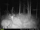  Bogus Road - Photo 10
