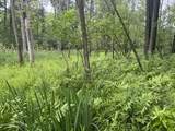  Elmwood Road - Photo 11