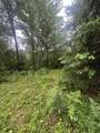  Elmwood Road - Photo 12